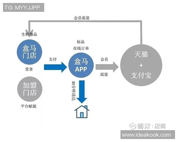 深入分析北京足球队的运营策略与发展模式探讨