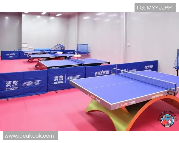 深圳乒乓球队中路突破革新探索新战术提升竞技水平的全景分析